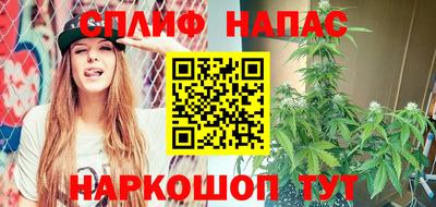 индика Лесосибирск