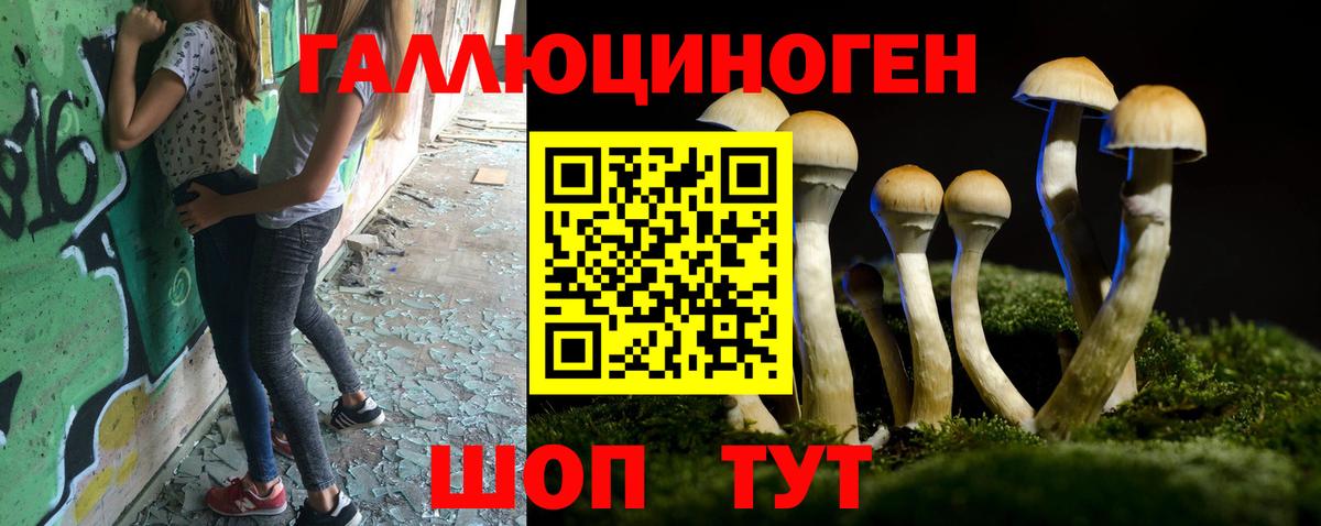 Хабаровск  Галлюциногенные грибы мухоморы  Вход с VPN  Галлюциногенные грибы мухоморы 